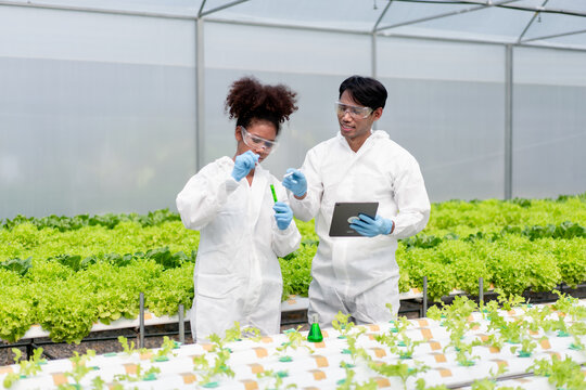 Two scientists are working in a greenhouse, one of them holding a tablet