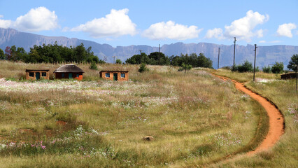 Tar road and cosmos flowers in the foreground. Traditional QwaQwa houses and the Drakensberg mountains in the back ground. South Africa. 