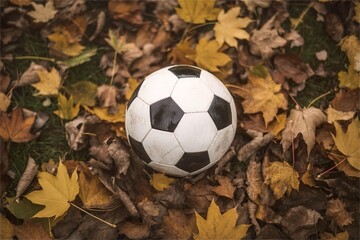 soccer ball on autumn leaves. Fall season sports
