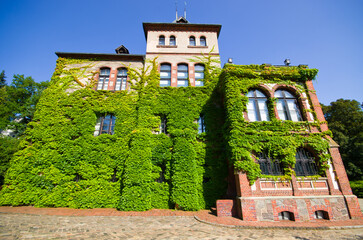 Historic ivy-covered building with arched windows, Gołuchow, Poland