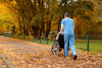 Elderly woman with grey hair sitting in wheelchair during walk in the park in autumn with male...