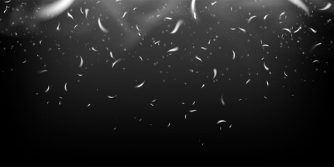 Bright flying sparks and fiery embers glowing at night. Realistic flame and smoke effect with warm light and transparent overlay. Ideal for bonfire or magic atmosphere.