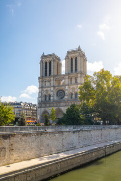 View of the majestic Notre Dame Cathedral rises with its iconic towers against a clear blue sky, framed by lush green trees, Paris, Ile-de-France, France.