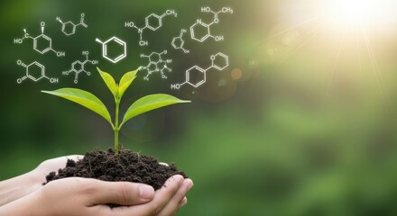 Hands holding a small plant with chemical formulas floating above, symbolizing biotechnology and green chemistry
