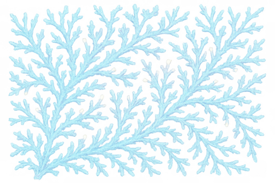 Ice branches forming a delicate pattern, illustrating winter coldness and nature's frozen beauty. Transparent background