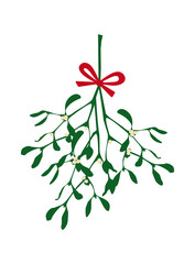 Mistelzweig mit roter Schleife, Illustration, transparent ohne Hintergrund 