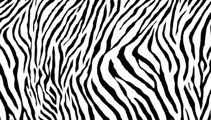 Black and white zebra abstract pattern white background. Zebra prints useful as a background. Seamless pattern with lines, vector background. Texture of zebra with dense lines.  © Song Long