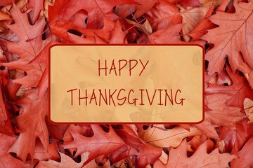 Happy Thanksgiving greeting card. Red autumn leaves background with the text "Happy Thanksgiving" in the frame.