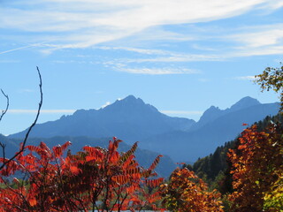 Herbstträumereien der Natur