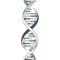 Stylized DNA Double Helix Vector Illustration