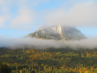 Herbstträumereien der Natur