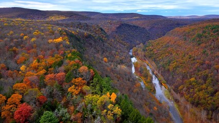 Pennsylvania Grand Canyon Mountains in Autumn Fall Colors, orange and reds with gentle flowing Pine...