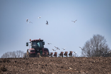 Red tractor plowing a field with flying birds in the background, showcasing agricultural activity and the beauty of rural landscapes in a sunny environment