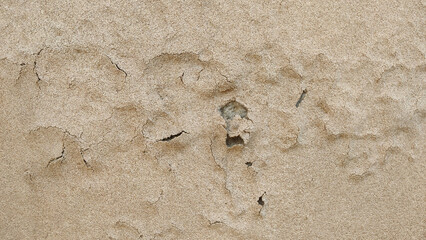 Plaster wall deterioration caused by moisture exposure and aging highlighting poor construction...