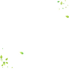 green abstract background