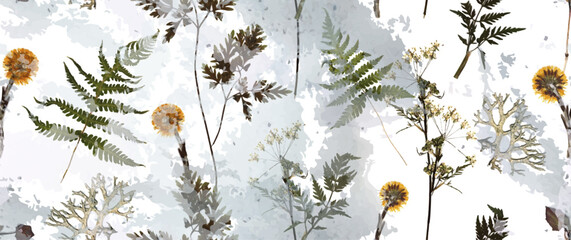 wild flowers in the grass