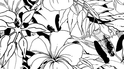black and white flowers