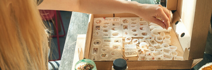 Female caucasian adult arranging entomology insects collection in natural light setting.