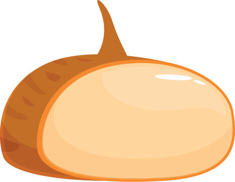 Jicama root vegetable cut in half showing white flesh and light brown skin