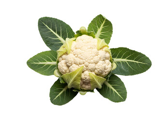 Obraz premium Fresh Cauliflower Head with Green Leaves on White Background.