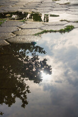 reflection of trees and sun on flooded paving blocks in the morning