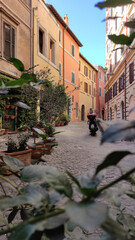 Cozy Italian street view with rustic houses and greenery