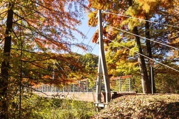 Suspension Bridge Leading to Lake Deseda Nature Park, Golden Fall Foliage in Forest, Golden Fall Colors, Autumn Landscape, Colorful Leaves, Autumn Forest, Fall Scenery, Nature Photography