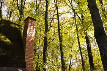 Cabin in the Woods in Sunlight, Golden Fall Colors, Brick Chimney, Autumn Landscape, Colorful Leaves, Autumn Forest, Fall Scenery, Nature Photography, Canon EOS 250D, Canon EOS Rebel SL3