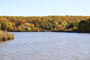 Lake Deseda in Fall, Golden Fall Colors, Autumn Landscape, Colorful Leaves, Autumn Forest, Fall Scenery, Nature Photography, Canon EOS 250D, Canon EOS Rebel SL3