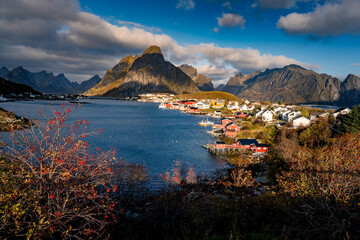 Reine on Norsk Lofoten