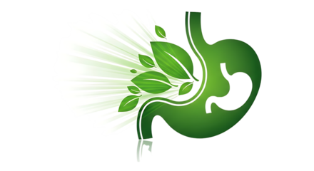 Green stomach with leaves for natural digestion isolated on transparent background