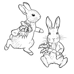 Peter Rabbit, set of illustrations in line art style, doodle, characters.