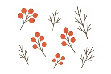 Red berries and bare branch elements creating a seamless autumn and winter season pattern with transparent background