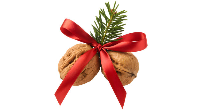 Two walnuts tied with a red ribbon and evergreen sprig isolated on transparent background
