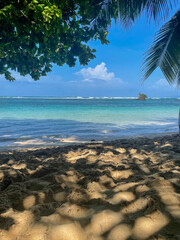 Tropical beach scene, golden sand under leafy shade, turquoise Caribbean waters and a small offshore rock, sunny day