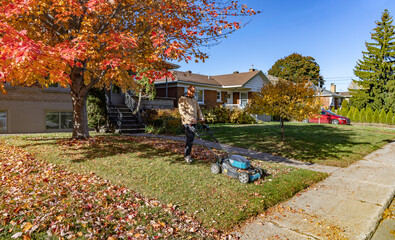 Passer la tondeuse sur les feuilles &agrave; l'automne