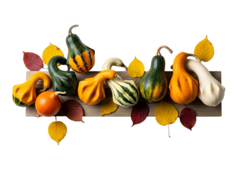 Autumnal Gourds and Leaves on Wooden Plank.