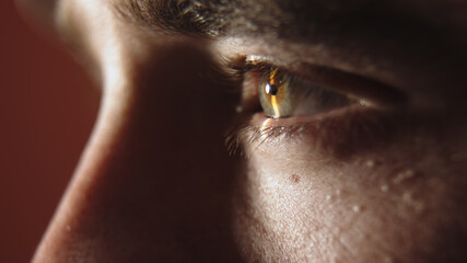 Close-up of human eye showcasing intricate details, highlighting the iris, pupil, and eyelashes,...