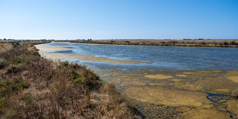 Serene River Landscape with Grassy Banks,Ile de Ré, Charente-Maritime, France