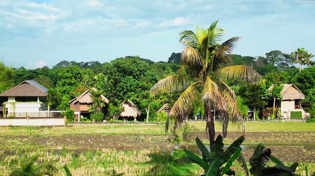 Breathtaking view of rice fields in Ubud, Bali, where   terraces meet traditional Balinese houses, creating a picturesque landscape