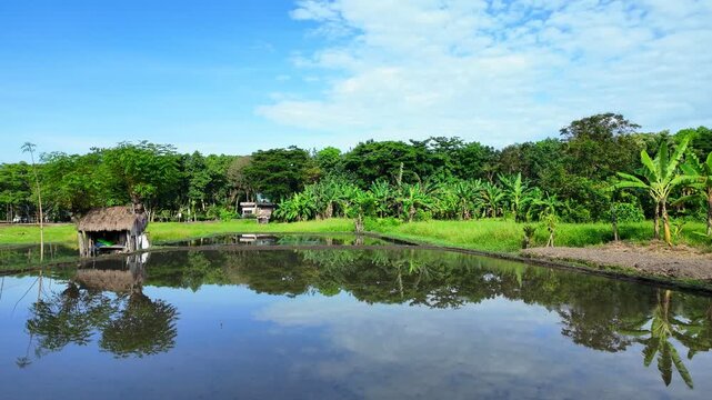Stunning panorama of Ubudrice paddies with reflection in water, complemented by local Balinese homes, showcases  dedication of farmers and the beauty of sustainable agriculture