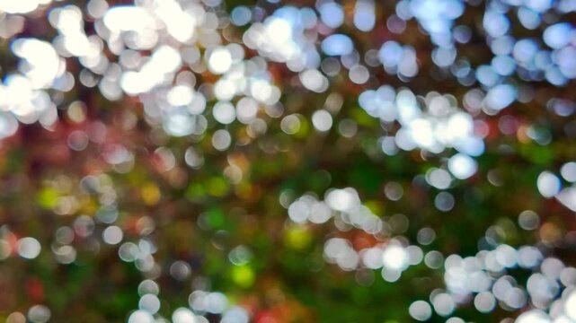 Enchanting bokeh highlights of red and green tones reflecting spring vitality, adding depth and beauty to visual projects focused on nature and tranquility