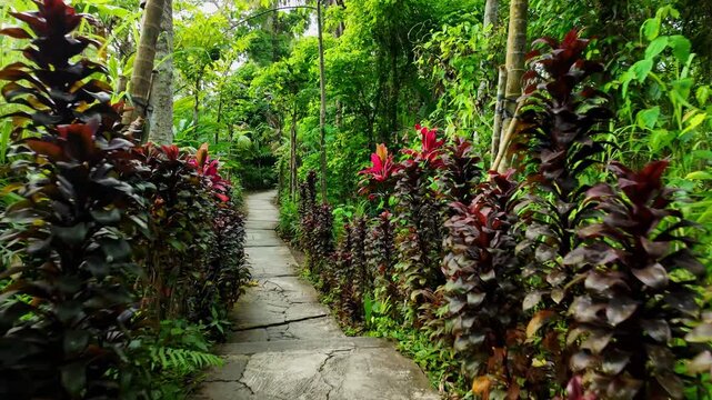 enchanting jungle pathway surrounded by blooming plants and lush greenery, capturing essence of Indonesia tropical beauty and tranquil ambiance