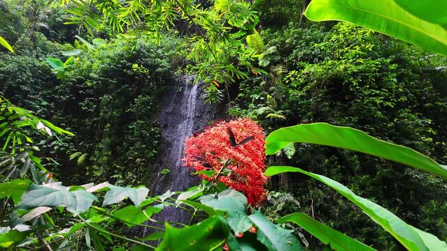 slow motion waterfall cascading surrounded by lush foliage and vibrant jungle, enhanced by fluttering butterflies in mesmerizing Ubud, Bali
