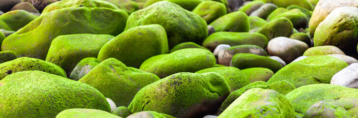 Green coastal rocks covered in moss with pebbles and stone details near the ocean waterfront.
