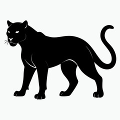 black and white cat vector