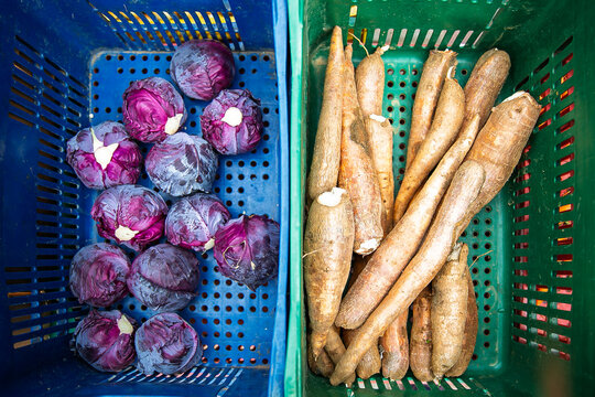 Caixas de pl&aacute;stico com repolho roxo e ra&iacute;zes de mandioca (aipim) em feira