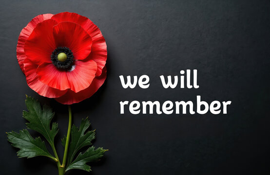 Single red poppy flower with green stem and leaves on dark textured surface. Text we will remember highlights solemn occasion. Great for remembrance day themes.