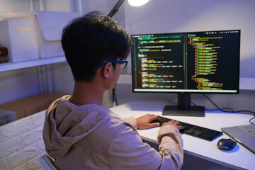 Development programmer working in website a software and coding technology