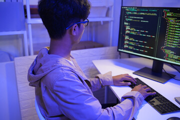 Development programmer working in website a software and coding technology